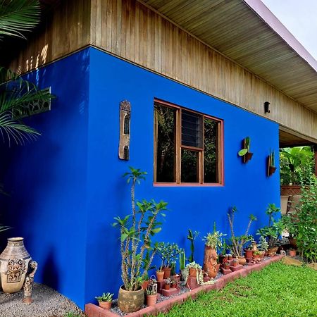 Quinta Don Fernando Bed & Breakfast La Garita  Exterior photo